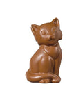  photo of Milk Chocolate Cat 