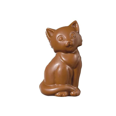  photo of Milk Chocolate Cat 