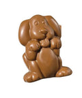  photo of Milk Chocolate Dog 