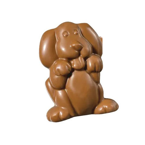  photo of Milk Chocolate Dog 