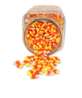 Third photo of Candy Corn 