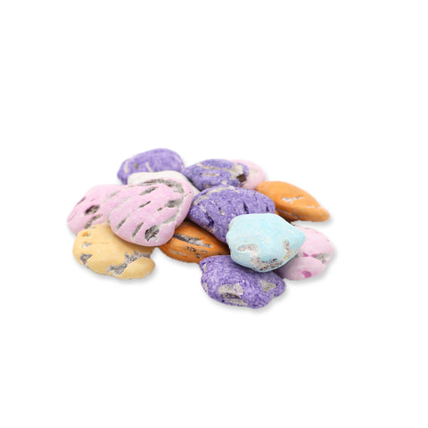 First photo of Sea Shells 