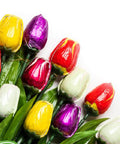  photo of Tulips 