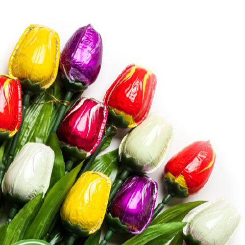 photo of Tulips 