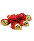 First photo of Lady Bugs 