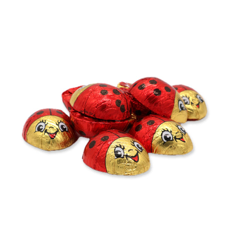 First photo of Lady Bugs 